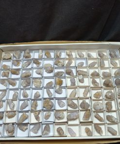 (WC015643) One Box Of 88 Citrine Spirit Quartz Crystals