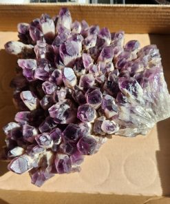 Amethyst Phantom Quartz Crystal Cluster from Zambia     (Shell Lee)