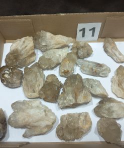 Natural Citrine Quartz Crystals From Congo BS11 Amy Simon