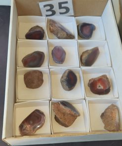 Polished Agate  Lisa McNanny