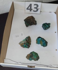 Malachite Chrysocolla from Namibia  Shell Lee