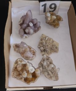 Assorted Spirit Quartz Crystals Lee Erin & Ann Ryan