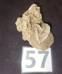 Desert Rose from Saudi Arabia   Martin Dube