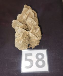 Desert Rose from Saudi Arabia   Martin Dube